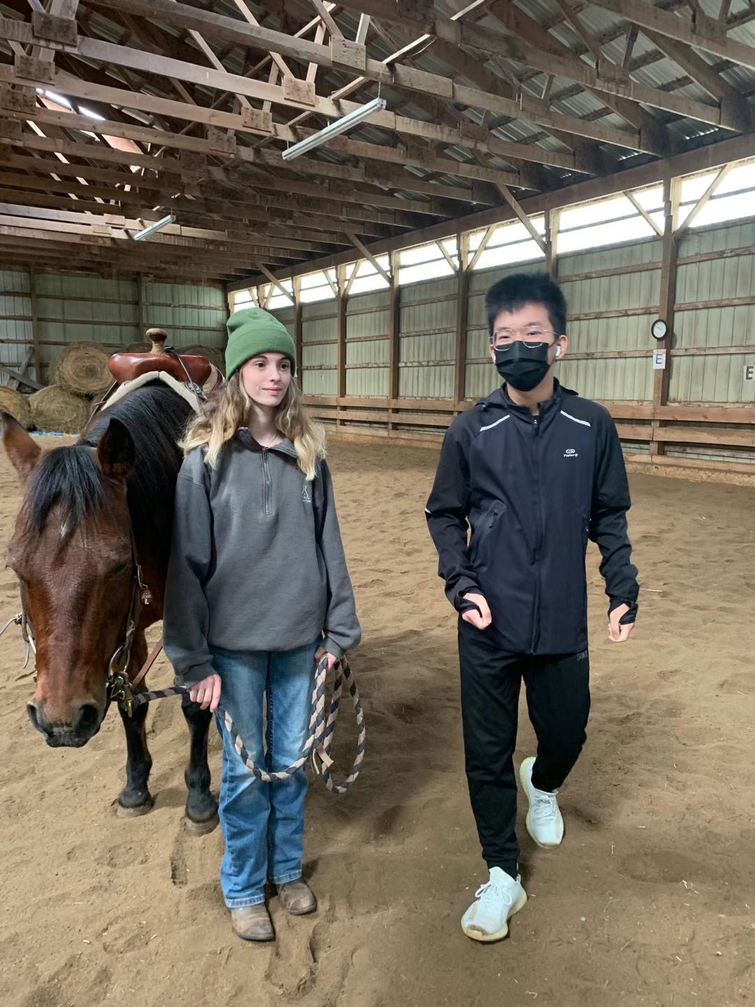 Horse Riding — photo 3